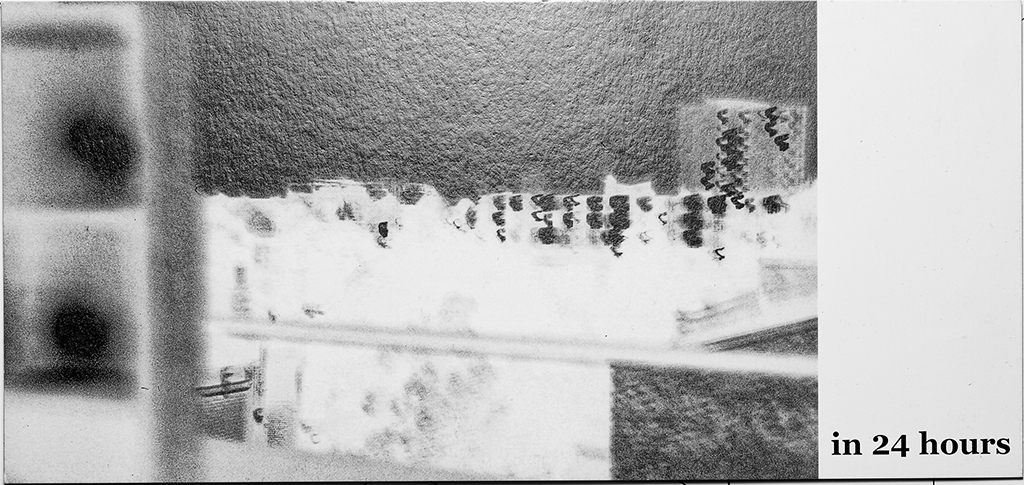 A postcard of In 2024 hours by Corali Dance Company 2000. The postcard features a black and white image of a polarised image of a housing estate
